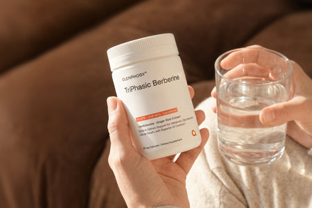 Berberine Guide: Benefits, Metabolism, and Blood Sugar Support