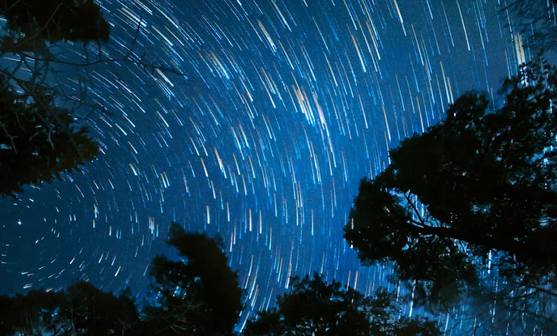 Starry night sky with swirling star trails above silhouetted trees, evoking calm and natural wellness.