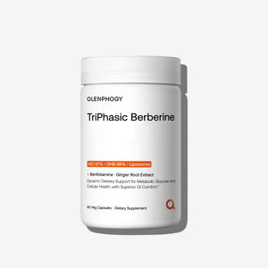 TriPhasic Berberine dietary supplement bottle with HCl, DHB, liposomal delivery, benfotiamine & ginger root extract